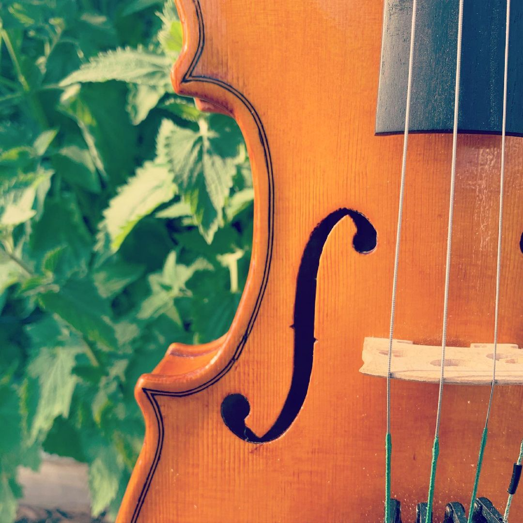 A closeup on the F hole of one of John's instruments.
