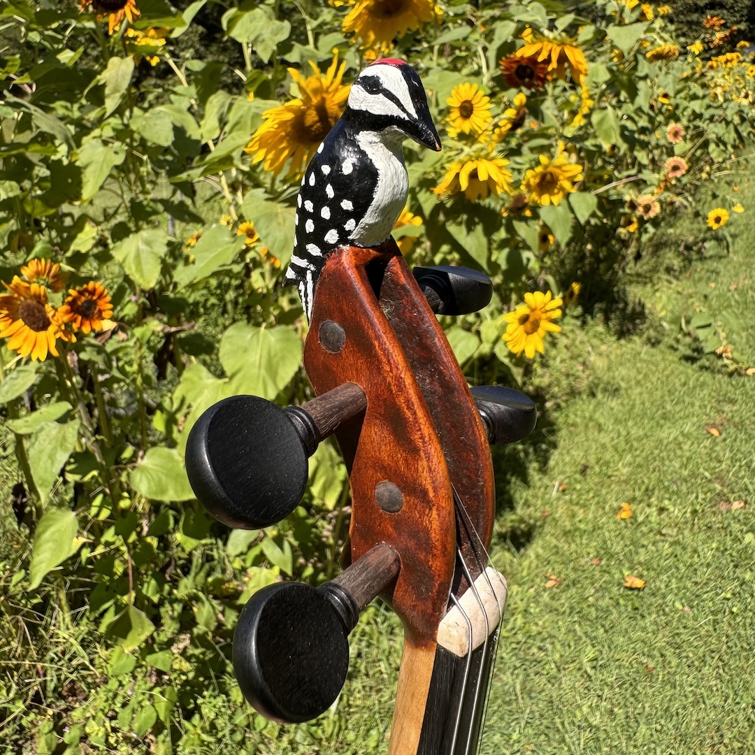 A closeup on the back of one of John's instruments.
