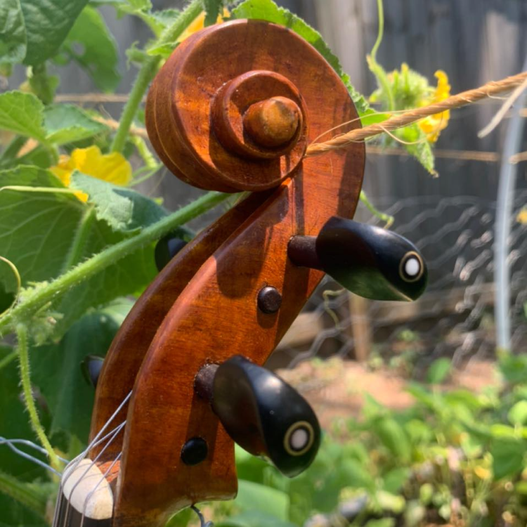 A closeup of the scroll on one of John's handmade instruments.